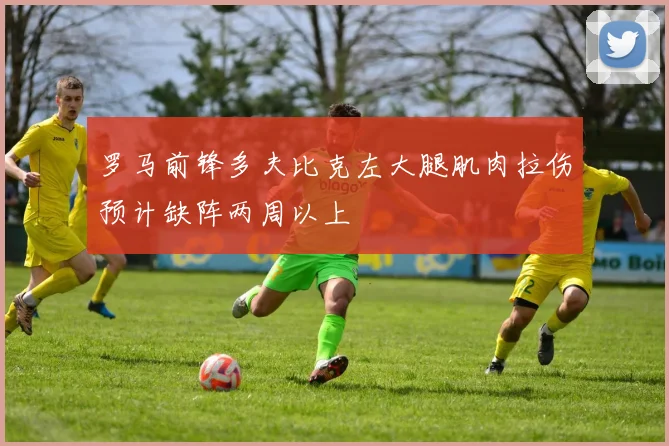 罗马前锋多夫比克左大腿肌肉拉伤预计缺阵两周以上
