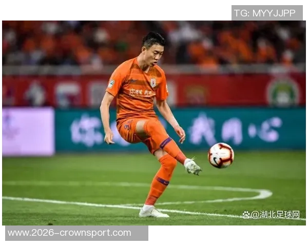 戴琳泰山十年收入超三千万再曝欠款不还引关注 戴琳泰山十年收入超三千万再曝欠款不还引关注